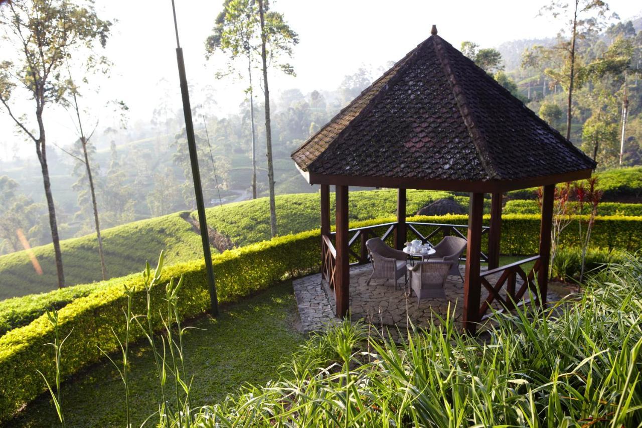 Resort Ceylon Tea Trails - Relais And Chateaux