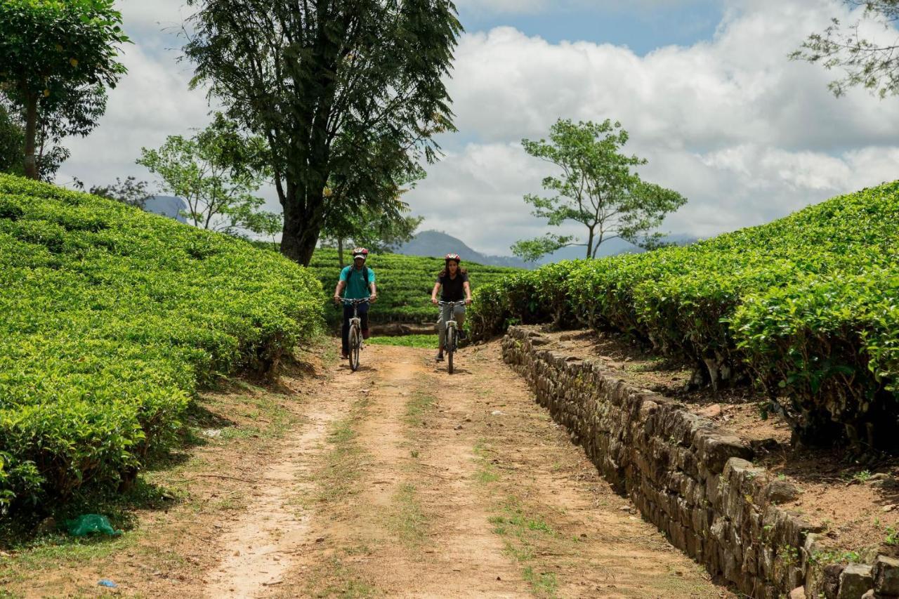 Resort Ceylon Tea Trails - Relais And Chateaux